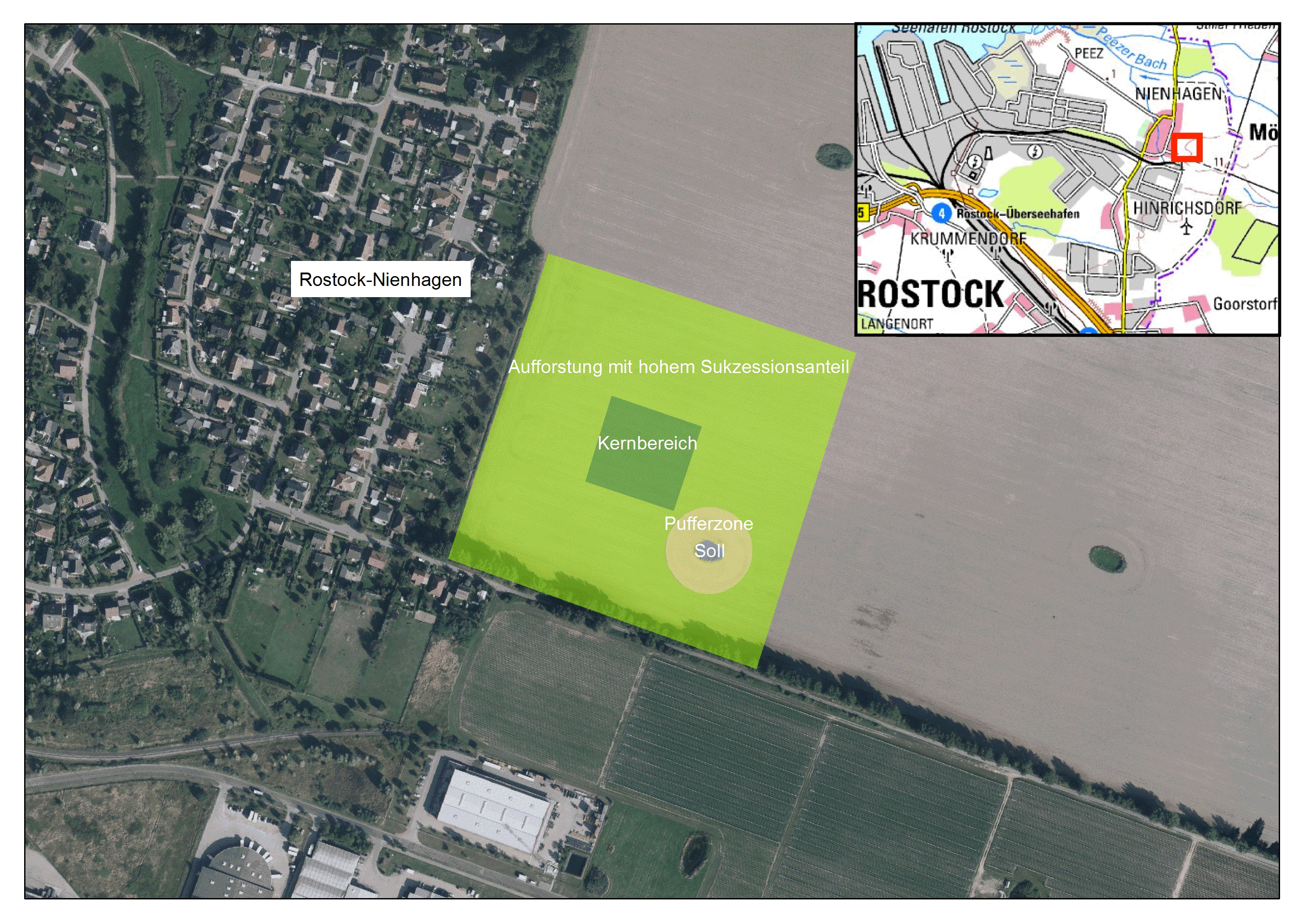 Ökokonto Neuanlage Laubwald Rostock Nienhagen