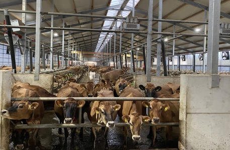 4 Automatisierter Stall Brüel 4 Automatisierter Stall Brüel