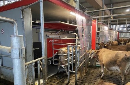 Automatisches Melken 3 Brüel Automatisches Melken 3 Brüel