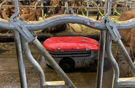 Automatisches Reinigen 1 Brüel Automatisierter Milchviehstall