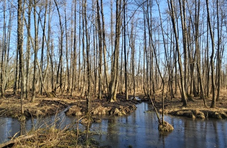 1 Bullow Leussowsee 1 Bullow Leussowsee