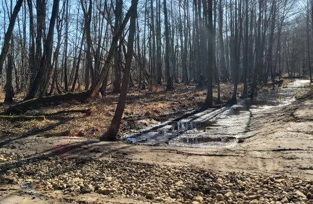 2 Bullow Leussowsee 2 Bullow Leussowsee