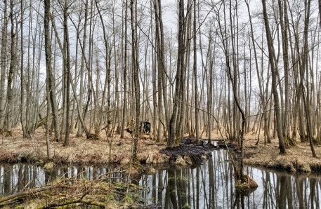 3 Bullow Leussowsee 3 Bullow Leussowsee