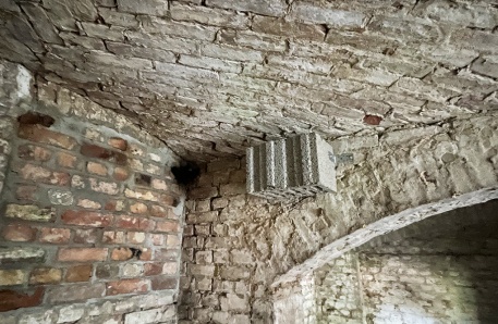 Deckensteine Fledermaus Deckensteine Fledermaus