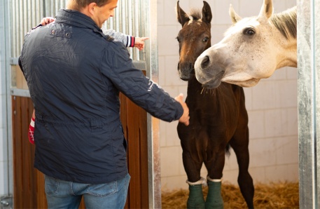 Hohen Schönberg Hohen Schönberg