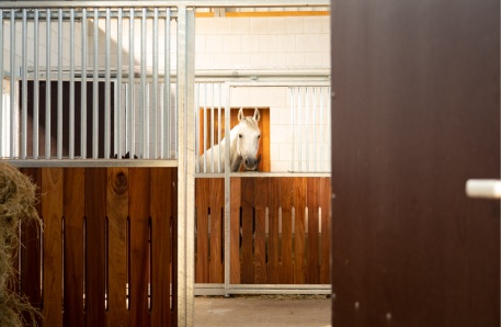 Hohen Schönberg Hohen Schönberg