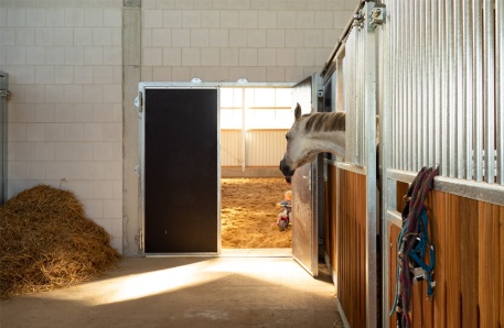 Hohen Schönberg Hohen Schönberg