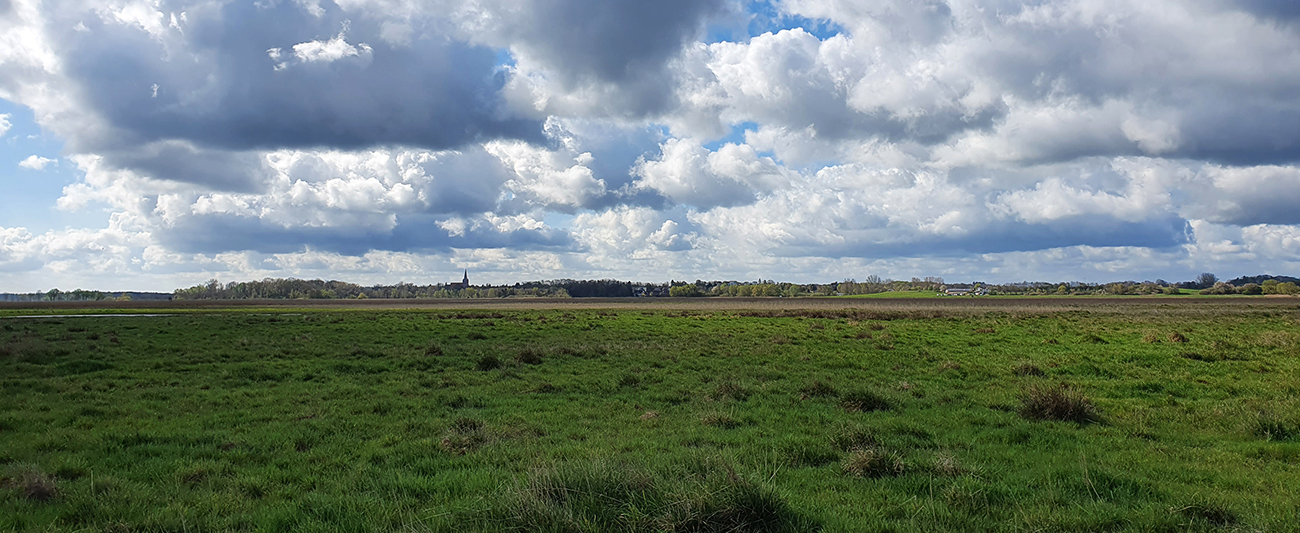Renaturierung Polder 3 Bad Sülze © LGMV