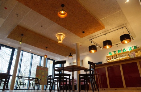 Akustikelemente aus Schilf Akustikelemente aus Schilf