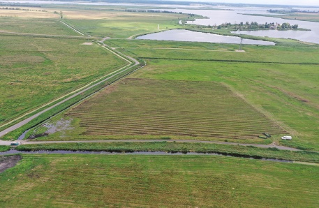 Projektfläche Paludikultur im Polder Bargischow Projektfläche Paludikultur im Polder Bargischow
