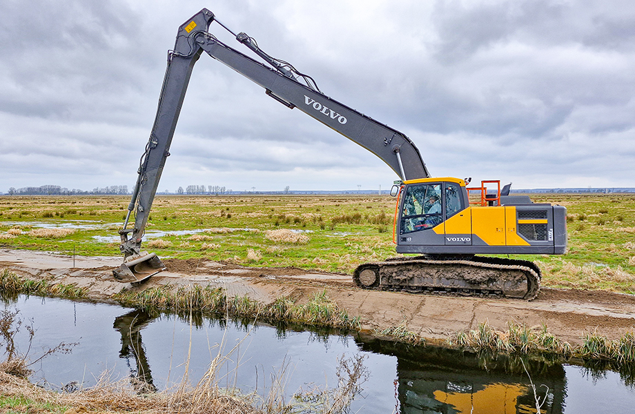 Bagger Polder Bargischow Süd 1