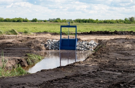 Stauwerk Polder Bargischow Süd 1 Polder Bargischow Süd