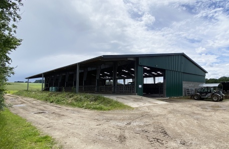 Jungviehstall 2 Jungviehstall 2