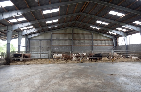 Jungviehstall 4 Jungviehstall 4