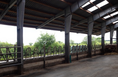 Jungviehstall 6 Jungviehstall 6