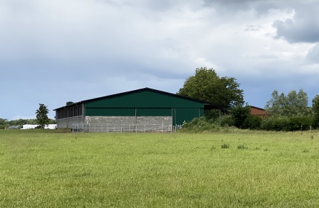 Jungviehstall 7 Jungviehstall 7