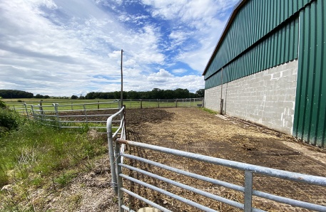 Jungviehstall 8 Jungviehstall 8