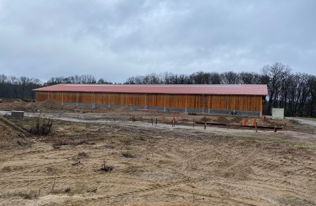 Mutterkuhstall in der Bauphase Mutterkuhstall in der Bauphase