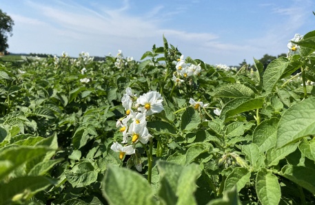 Wassersparende Beregnungsanlage 6 Wassersparende Beregnungsanlage 6