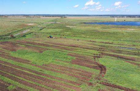 Luftbild Polder Bargischow-Süd während der Schilfpflanzung Luftbild Polder Bargischow-Süd während der Schilfpflanzung