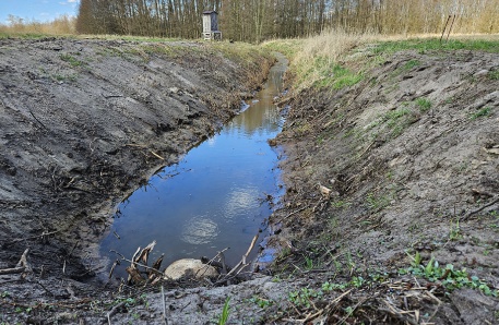 20250405_140218_noch tief entwaessert 20250405_140218_noch tief entwaessert