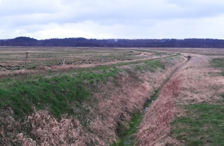 Recknitz 20190325_151625 Recknitz 20190325_151625