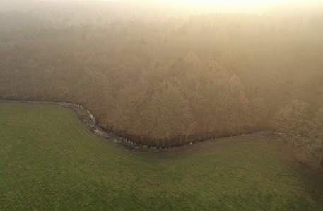 Randgraben mit angrenzendem Waldmoor Randgraben mit angrenzendem Waldmoor