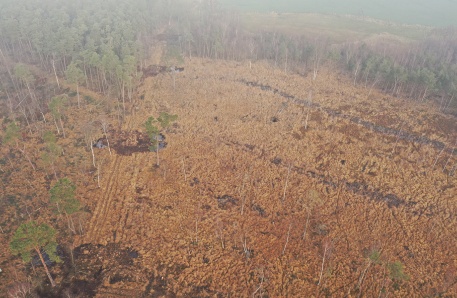 Zentrale Flächen mit Grabenverfüllungen Zentrale Flächen mit Grabenverfüllungen
