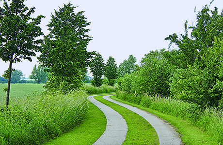 Ländlicher Wegebau