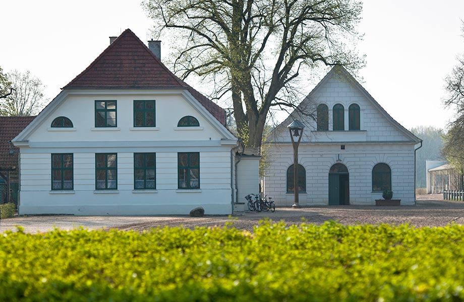 Bauplanung und Bauleitung