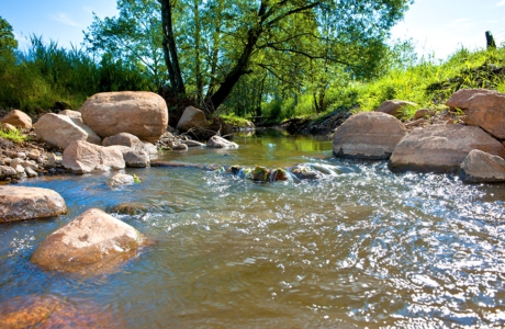Umsetzung der Europäischen Wasserrahmenrichtlinie