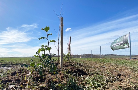 Pflanzaktion an der A 19 bei Kavelstorf Pflanzaktion an der A 19 bei Kavelstorf
