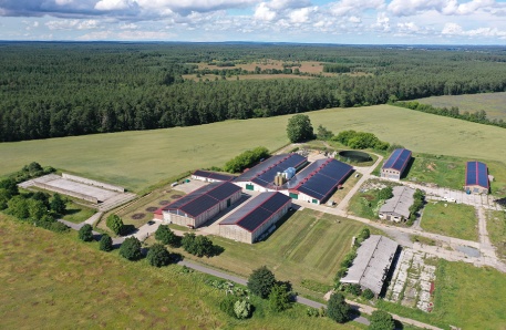Putenfarm in Demen Putenfarm in Demen