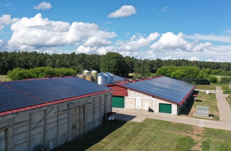 Umgebaute Milchviehanlage zur Putenfarm Umgebaute Milchviehanlage zur Putenfarm