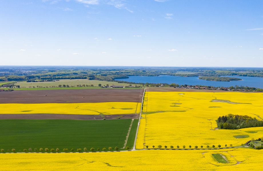 Landwirtschaftliche Flächen in Mecklenburg-Vorpommern
