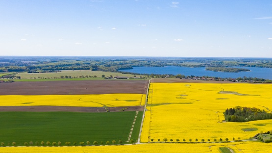 Landwirtschaftliche Flächen in Mecklenburg-Vorpommern