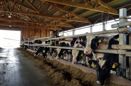 Gremersdorf Gremersdorf