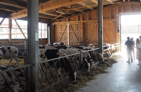 Gremersdorf Gremersdorf