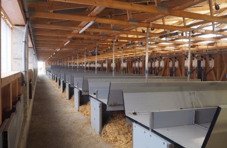 Klockenhagen Absatzferkelstall Klockenhagen Absatzferkelstall