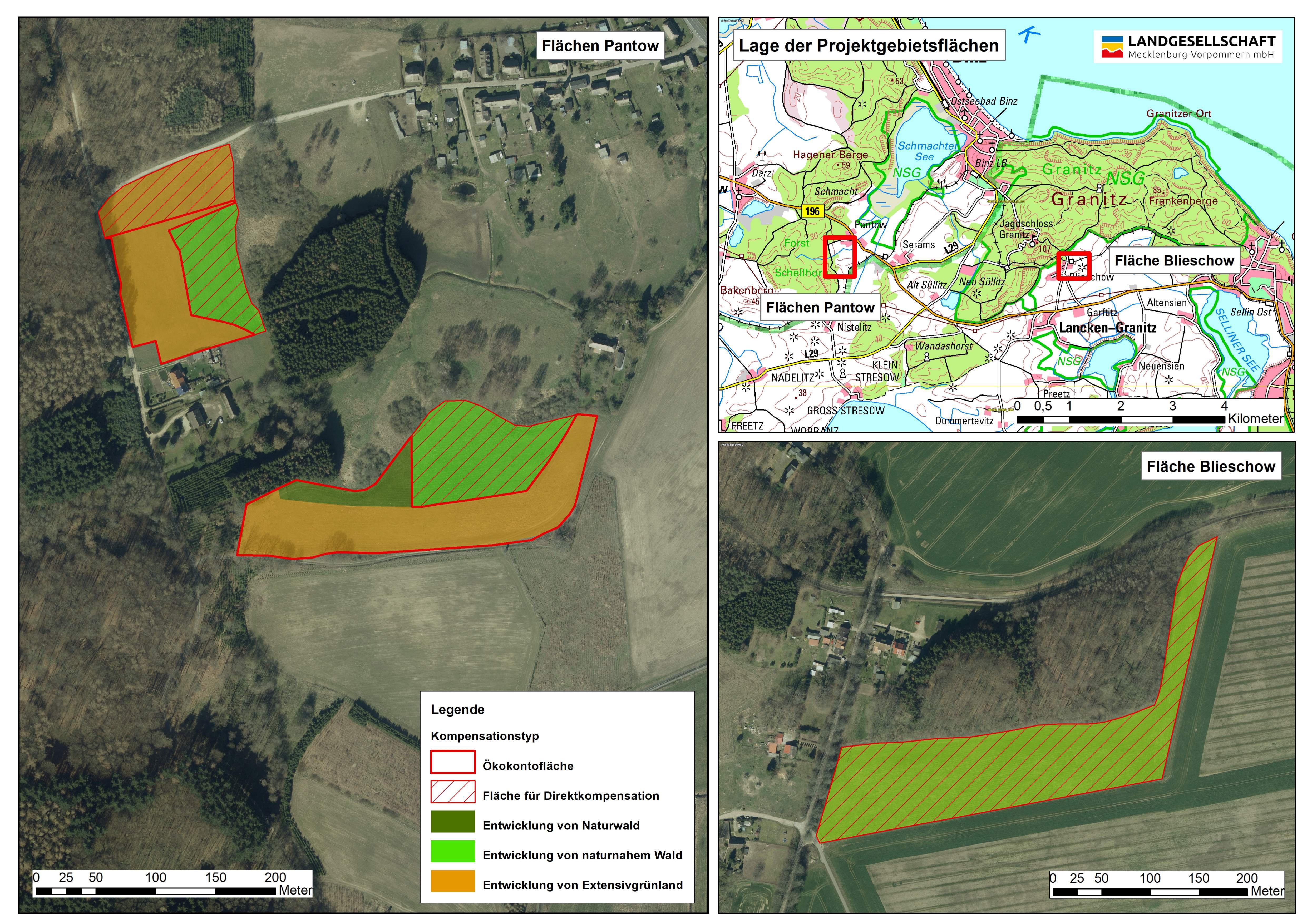 Ökokonto Außernutzungnahme von Waldflächen und Grünlandextensivierung bei Pantow / Anlage von Waldflächen bei Pantow und Blieschow 