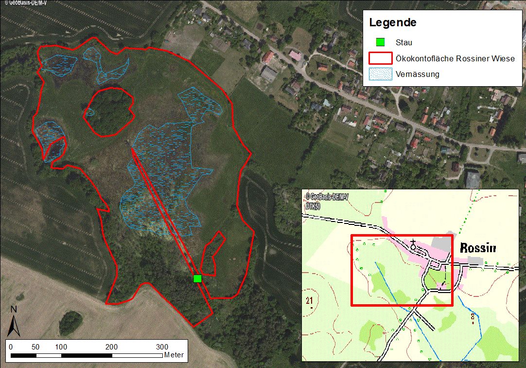 Wiedervernässung Rossiner Wiese