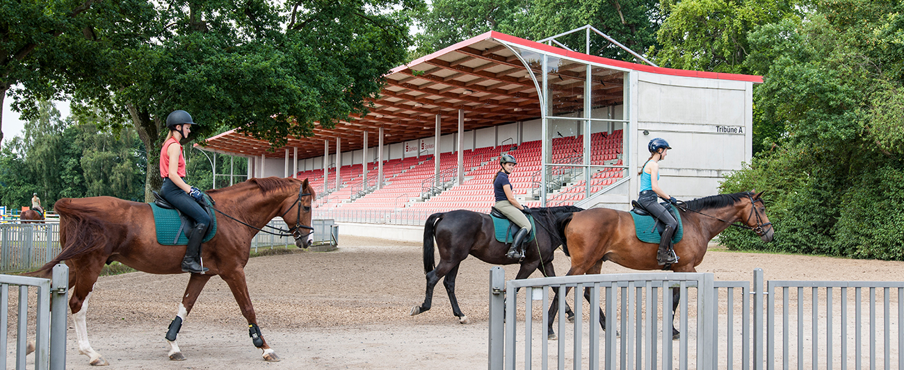 Zuschauertribüne des Reitgestüts Redefin © Jörn Lehmann