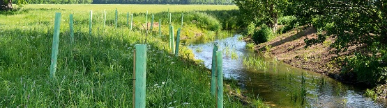 Flurneuordnungsverfahren Tarnitz