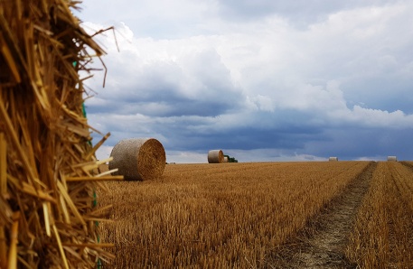 Landwirtschaftliche Fläche mit Strohballen