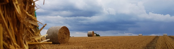 Landwirtschaftliche Fläche mit Strohballen