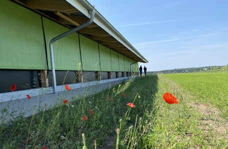 Bio Legehennenanlage Warenshof 4