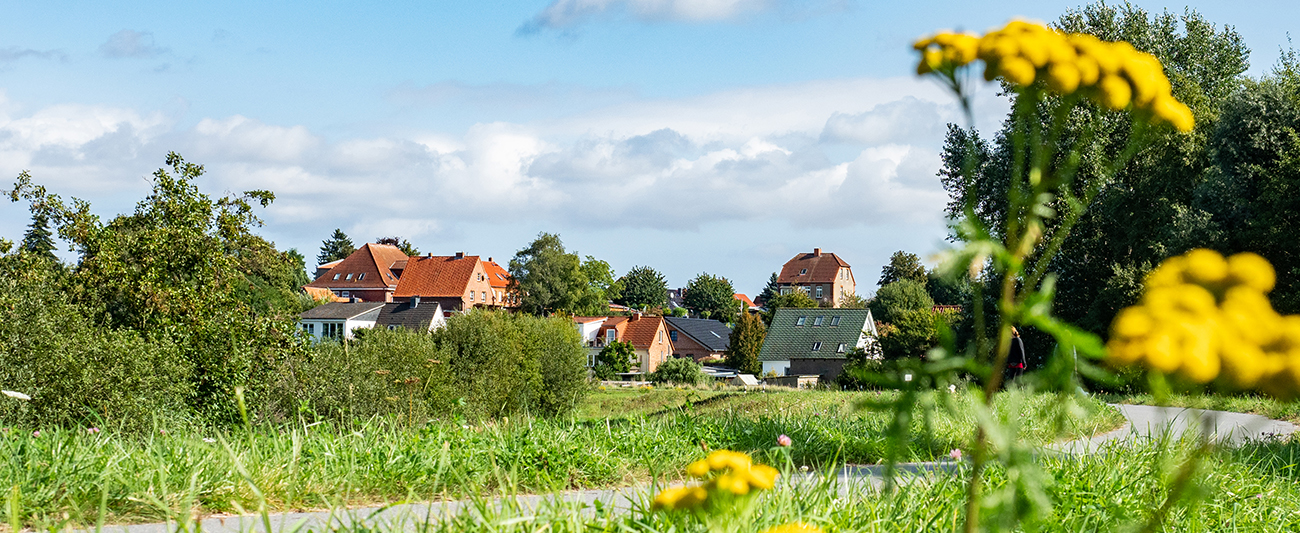 Stadtansicht Dassow © LGMV