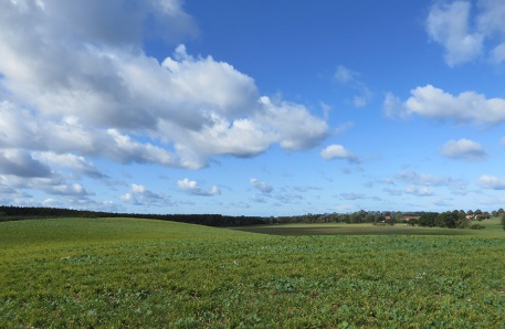 Übersicht Grünland Hinter Bollhagen