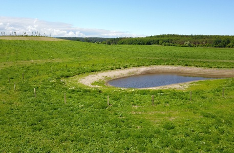 Feldgehölz auf der Kuppe und Kleingewässer Hinter Bollhagen