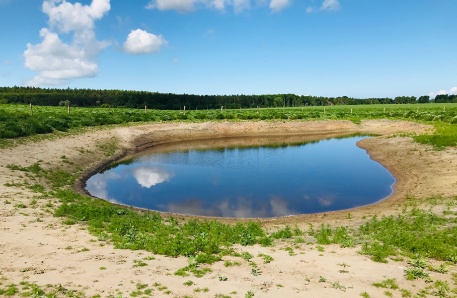 Kleingewässer Hinter Bollhagen